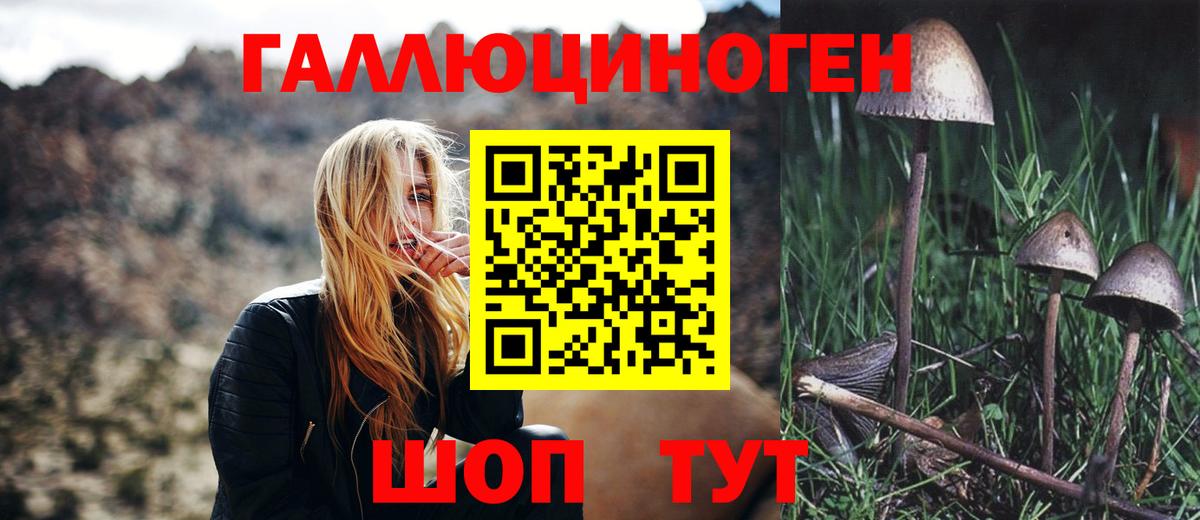Псилоцибиновые грибы MAGIC MUSHROOMS  Вход с VPN  Гусь-Хрустальный  цена наркотик  Галлюциногенные грибы Magic Shrooms 